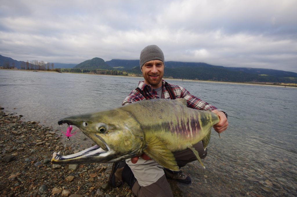 The #1 Best Fraser River Fishing | The Fraser River's Edge Lodge