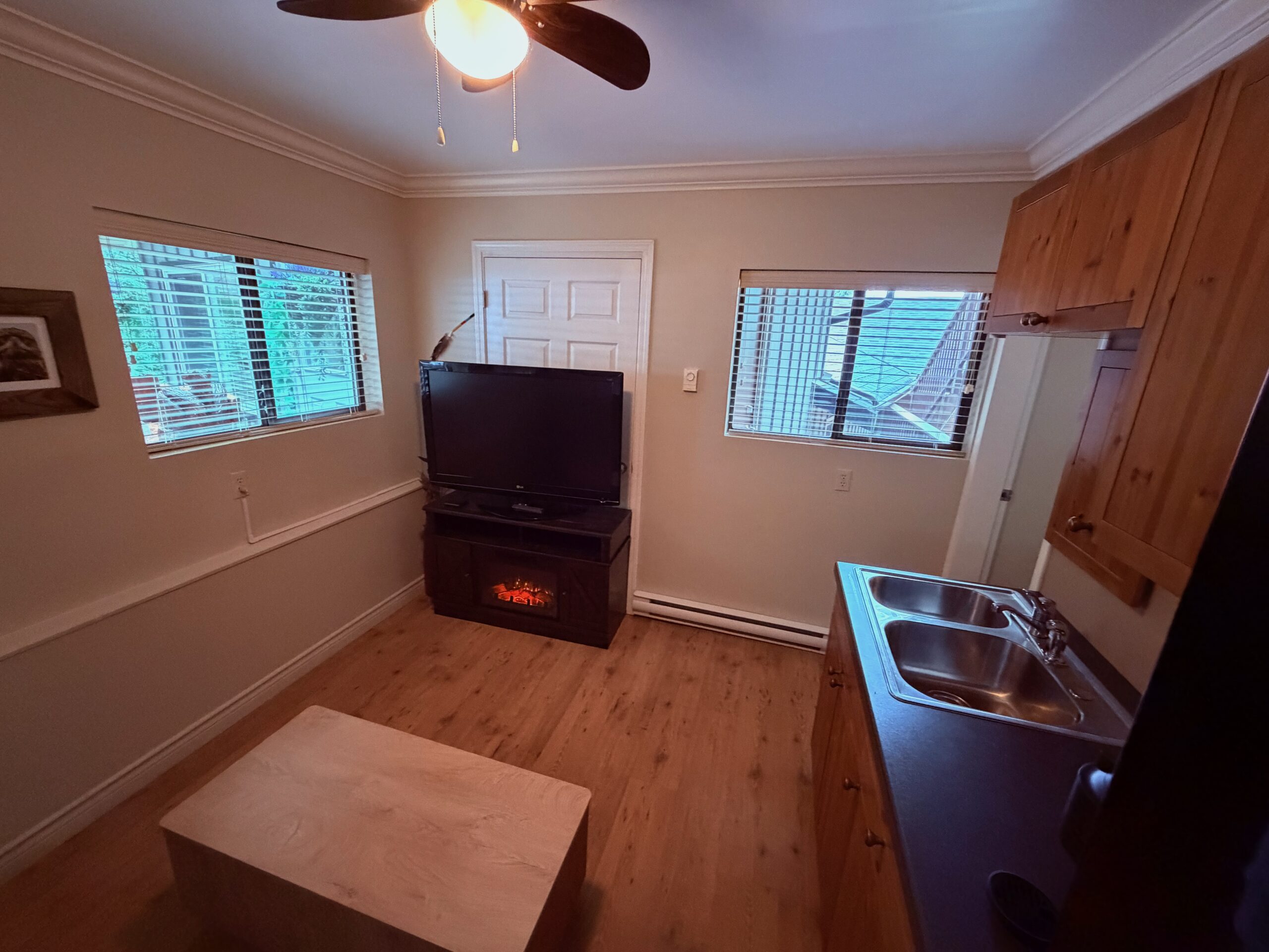Fireplace & TV